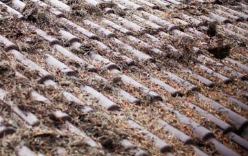 Greenfold roof cleaning companies